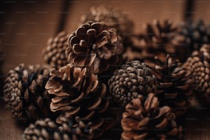 a bunch of pine cones sitting on top of a wooden table