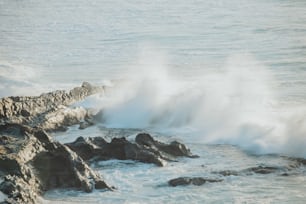 eine Person, die auf einem Surfbrett auf einer Welle reitet