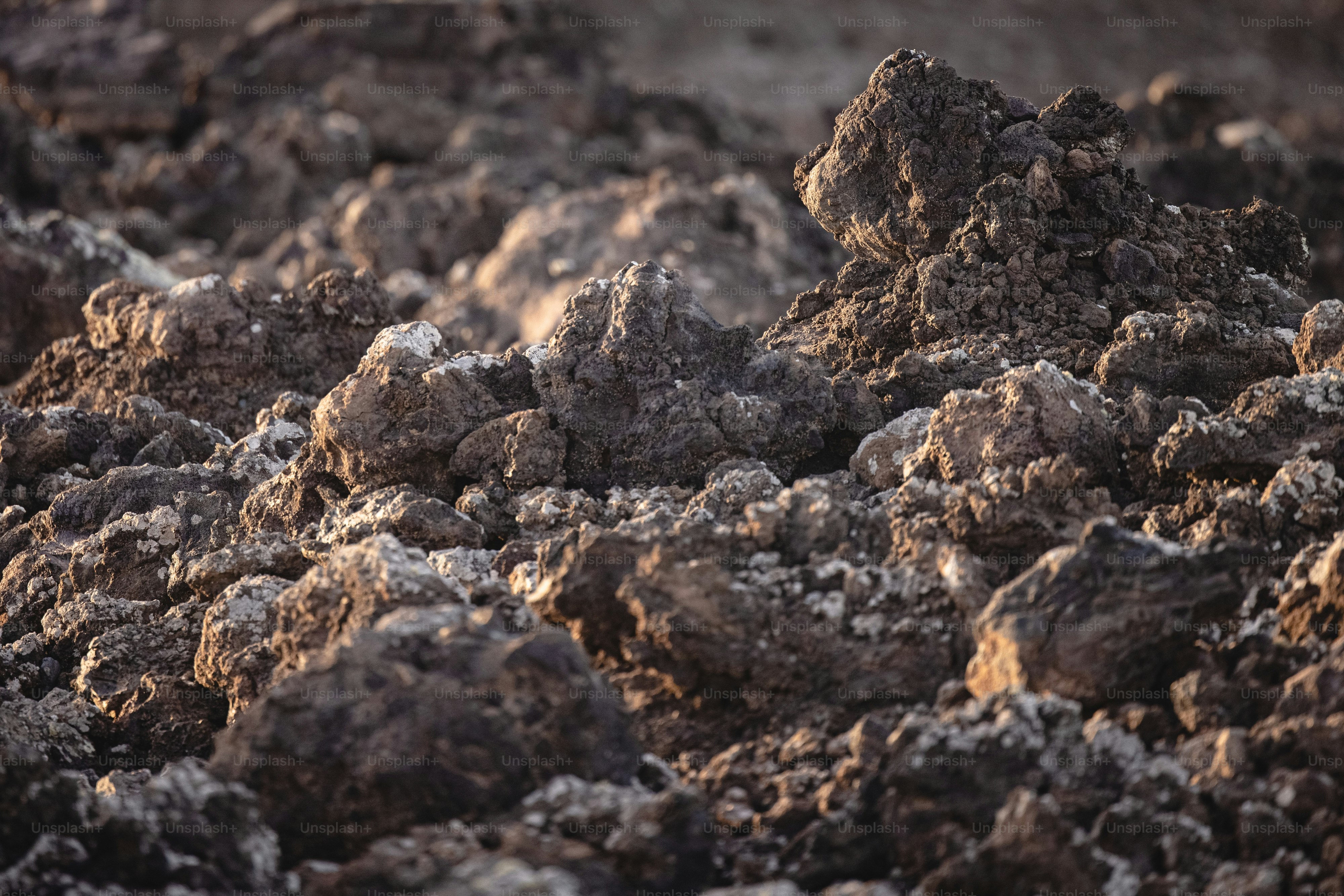 Un primer plano de un montón de rocas
