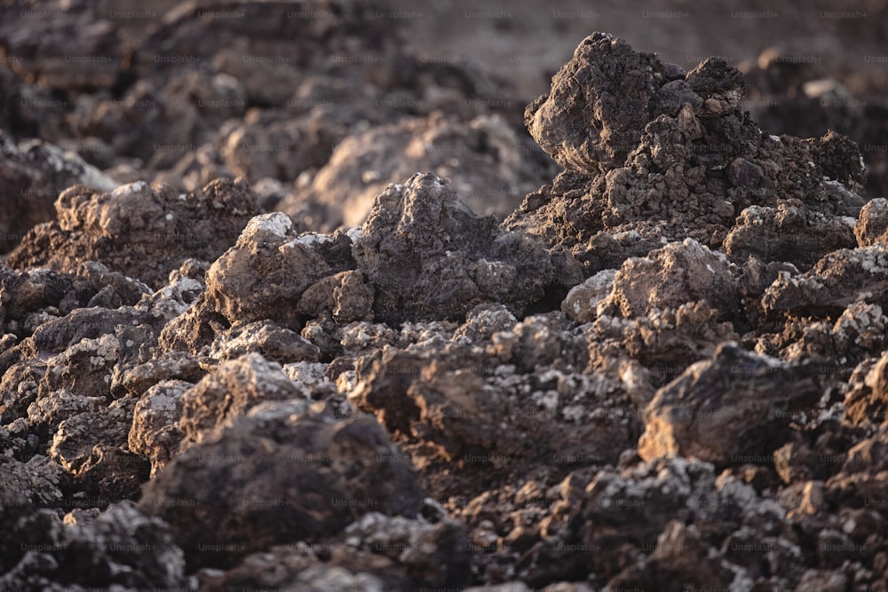 a close up of a pile of rocks