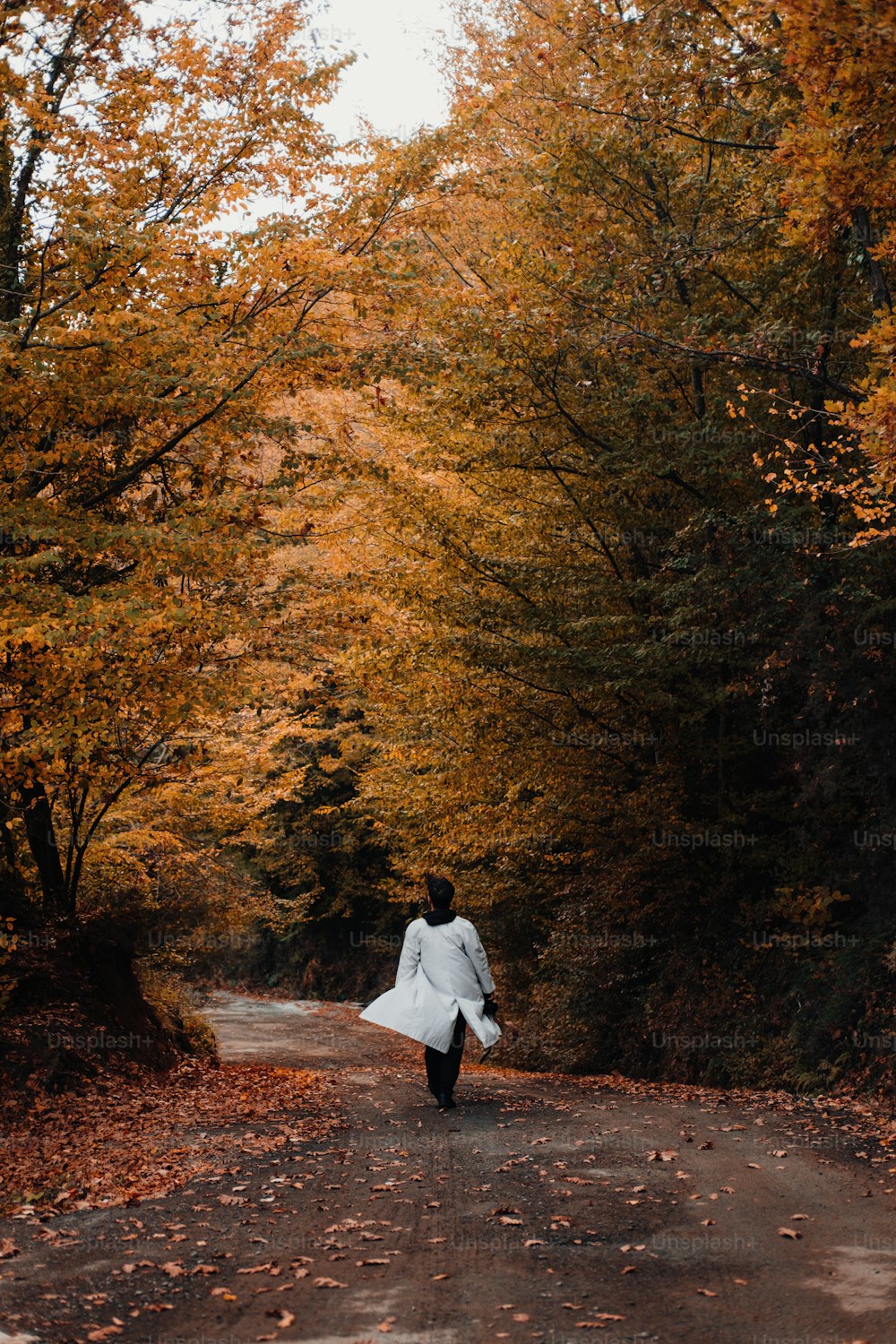 Una persona che cammina lungo una strada nel mezzo di una foresta