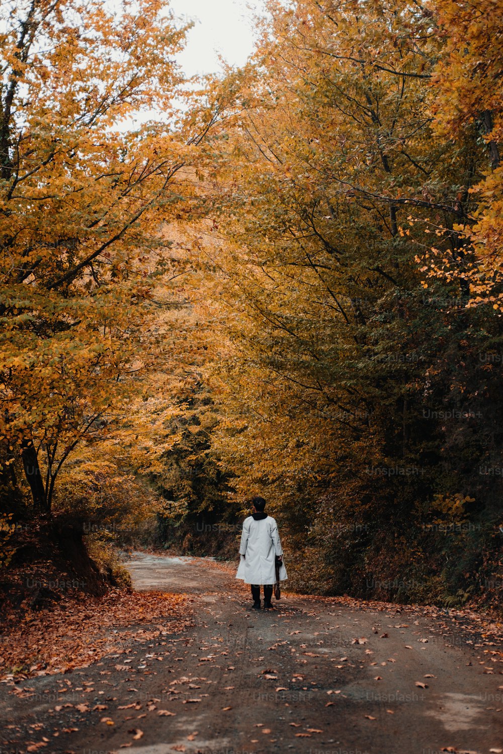 uma pessoa caminhando por uma estrada no meio de uma floresta
