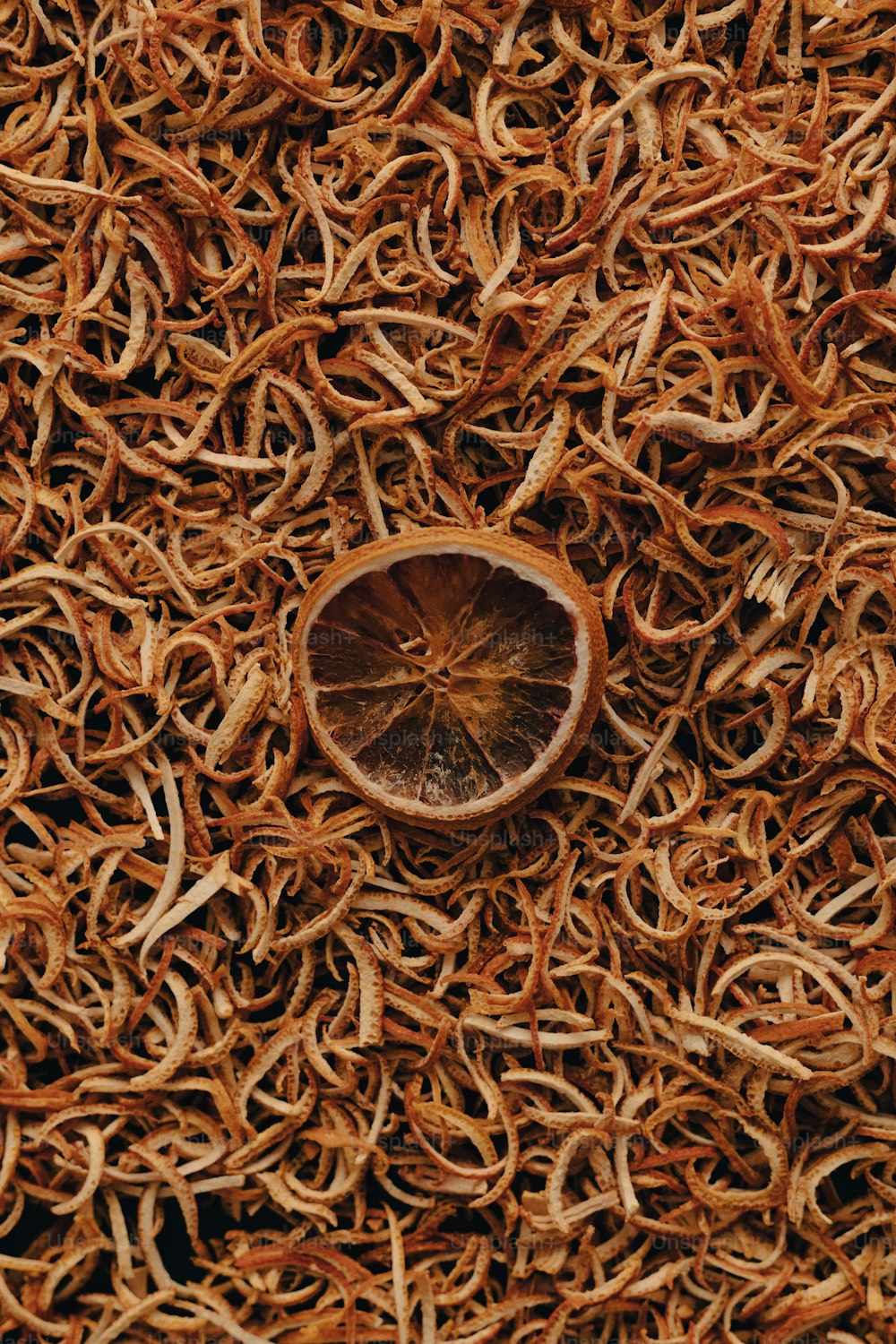 a dried up orange sitting on top of a pile of dried up oranges