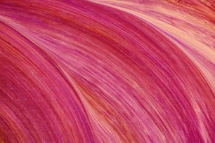 a close up of a red and pink hair