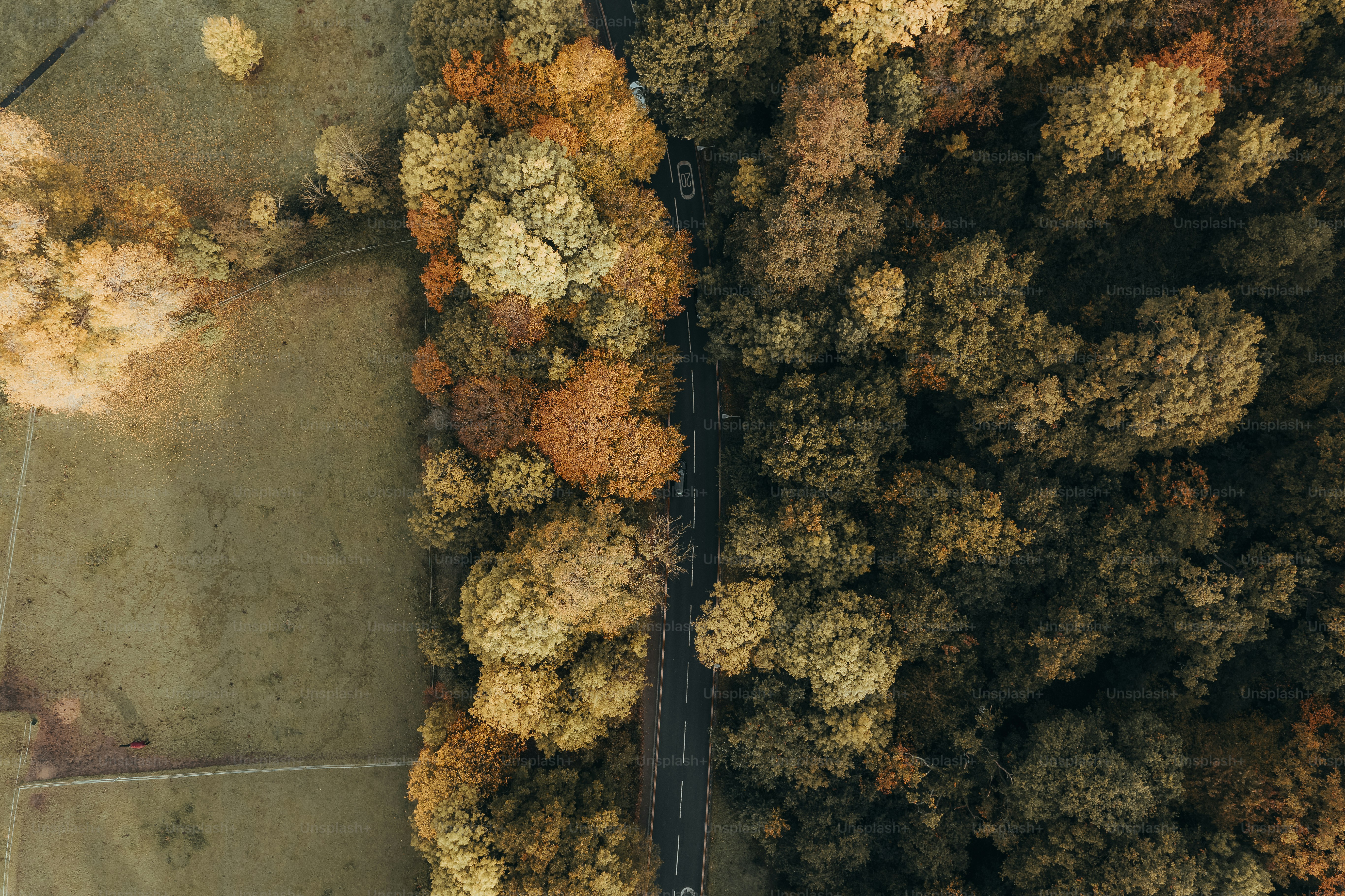 an aerial view of a road surrounded by trees
