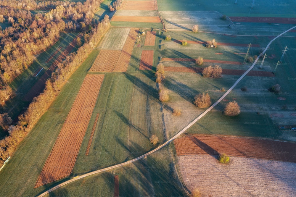 Una vista aérea de una zona rural con árboles