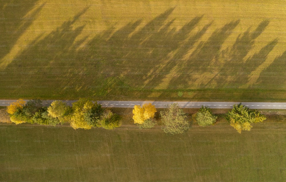 an aerial view of a road surrounded by trees