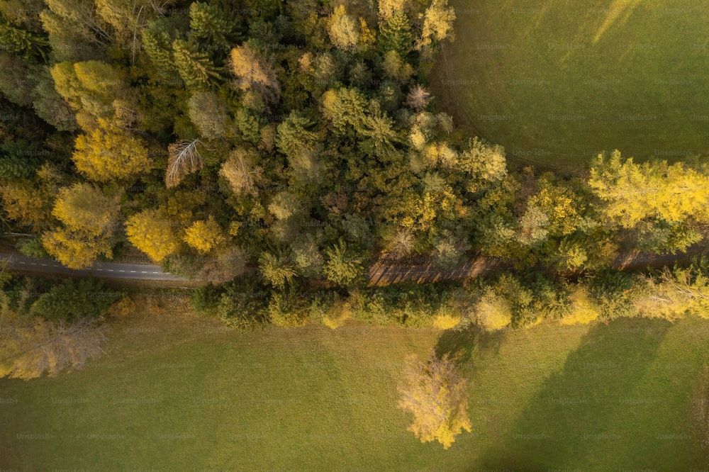 an aerial view of a road surrounded by trees