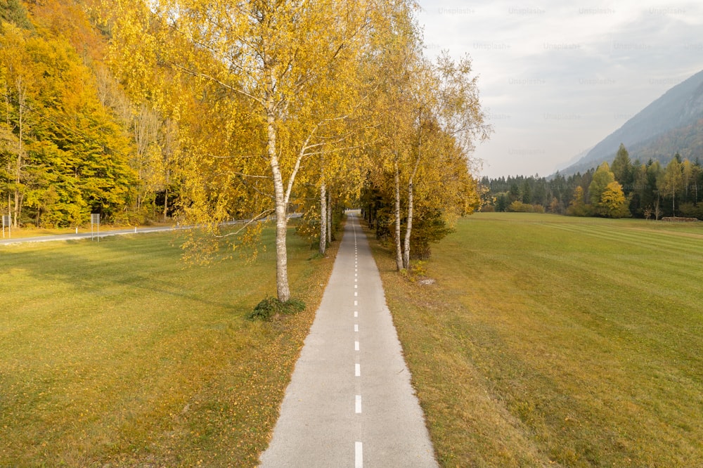 a paved road in the middle of a grassy field