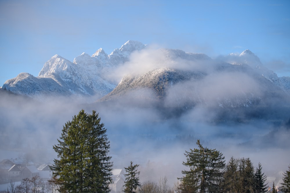 a mountain covered in snow and clouds with trees in the foreground