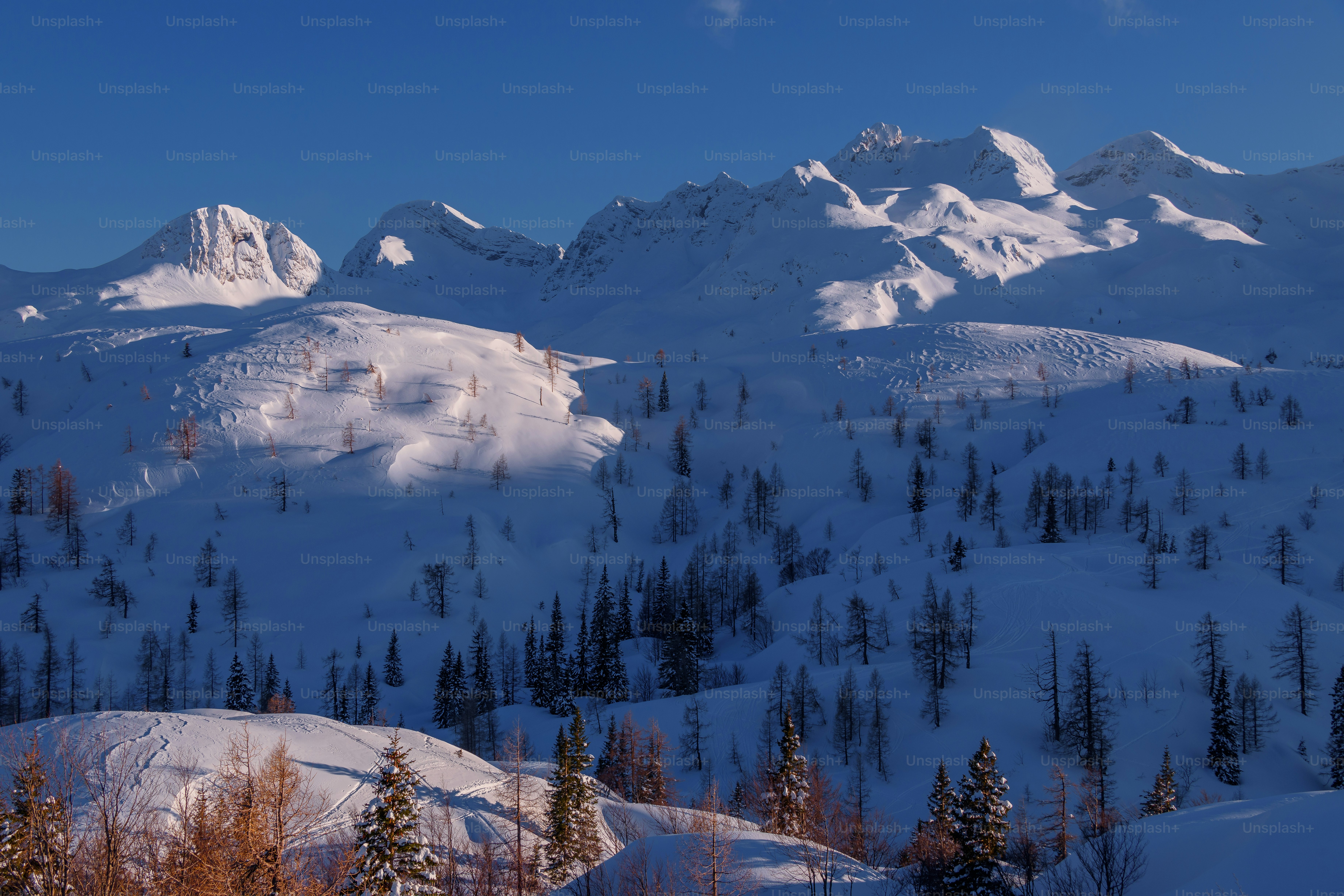 A mountain covered in snow and clouds with trees in the foreground ...