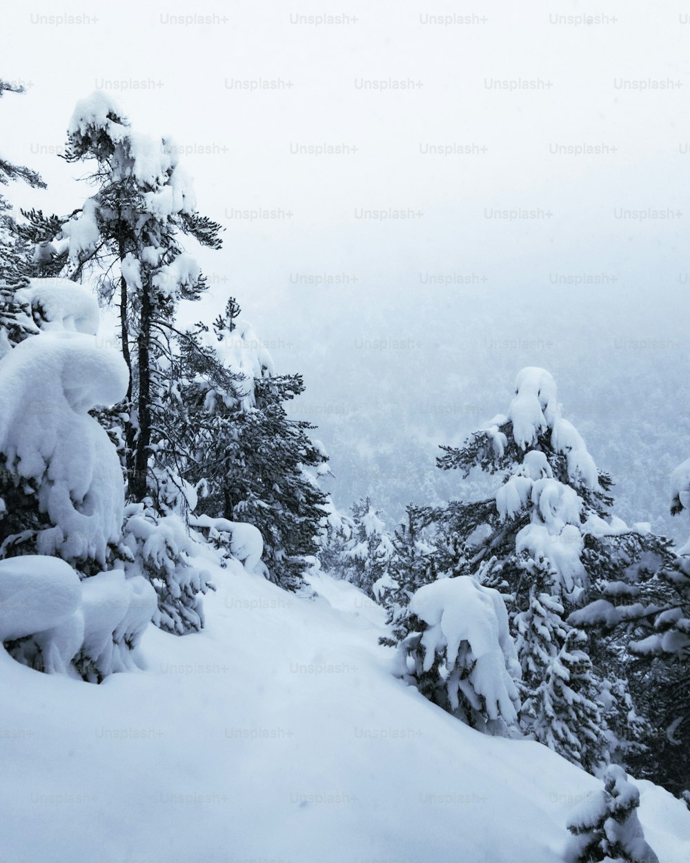 a snowboarder is going down a snowy hill