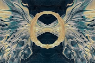 a picture of an abstract design with wings
