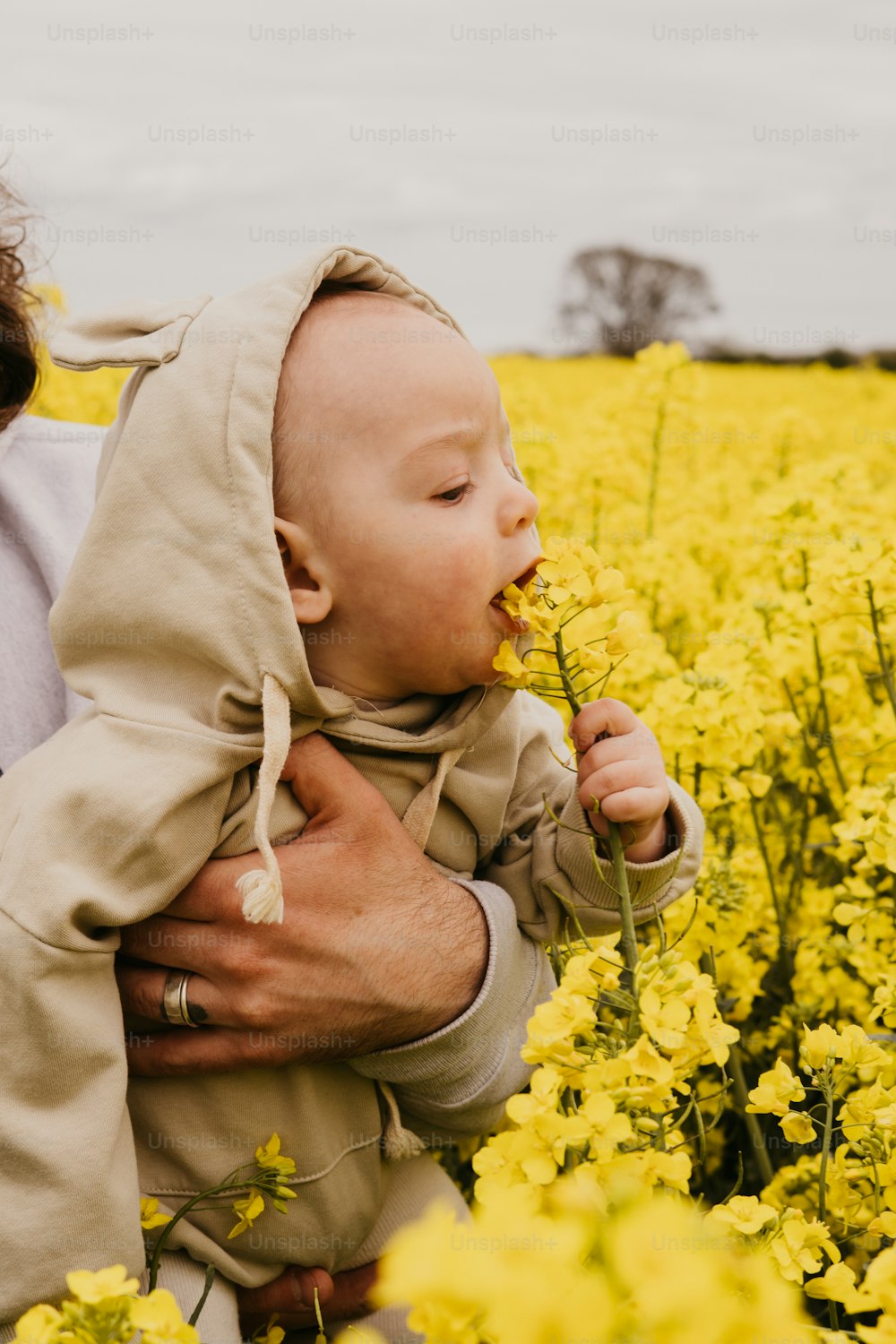 a man holding a baby in a field of yellow flowers