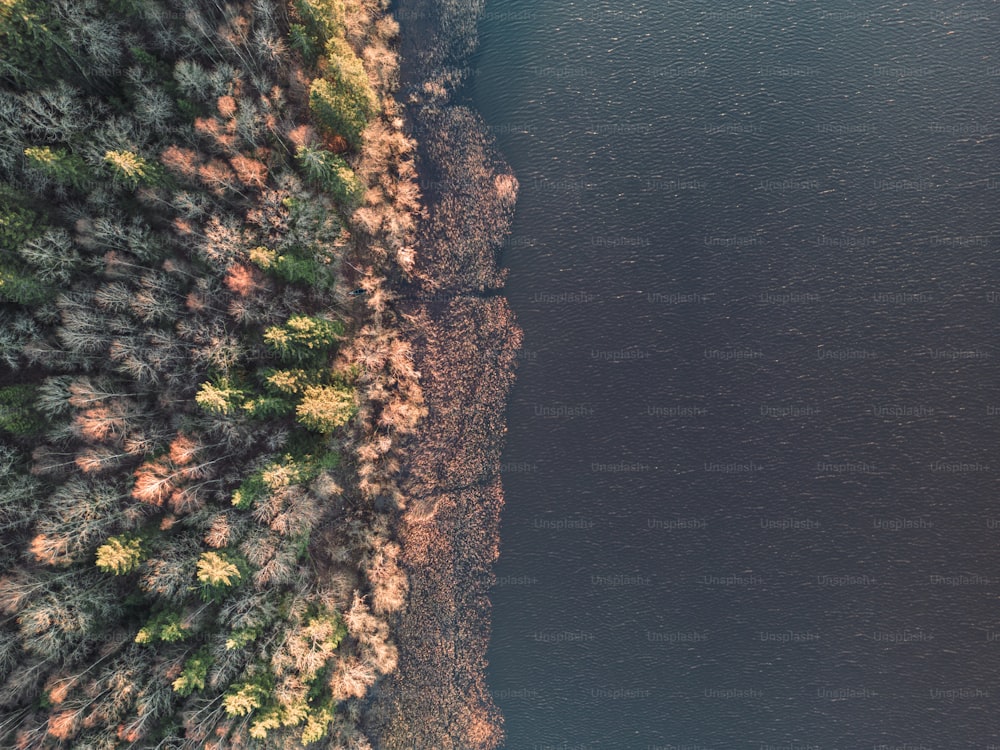 une vue aérienne d’un plan d’eau entouré d��’arbres