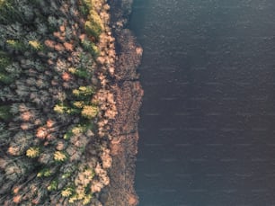 an aerial view of a body of water surrounded by trees