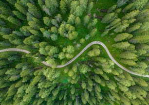 an aerial view of a road in the middle of a forest