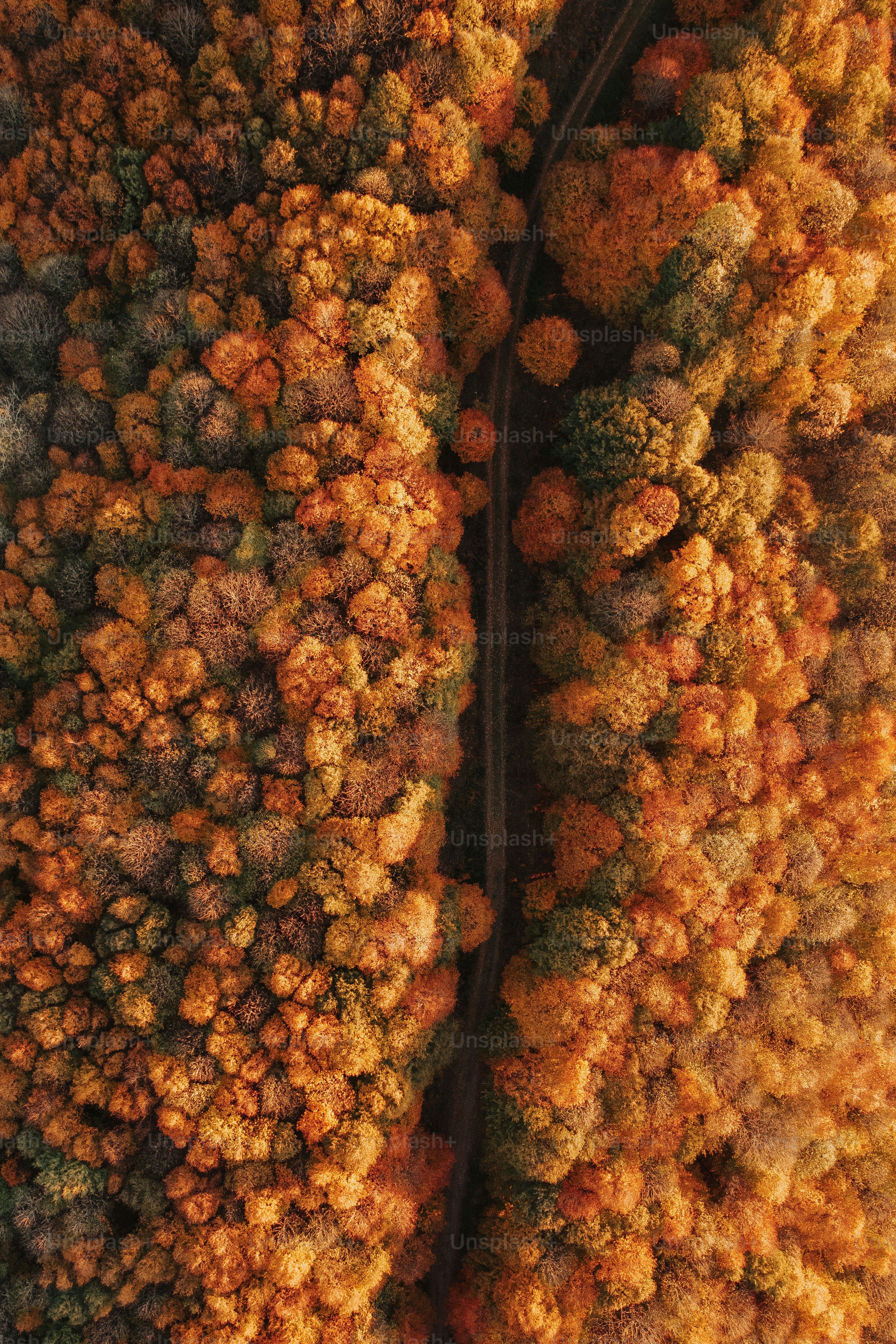 an aerial view of a road surrounded by trees
