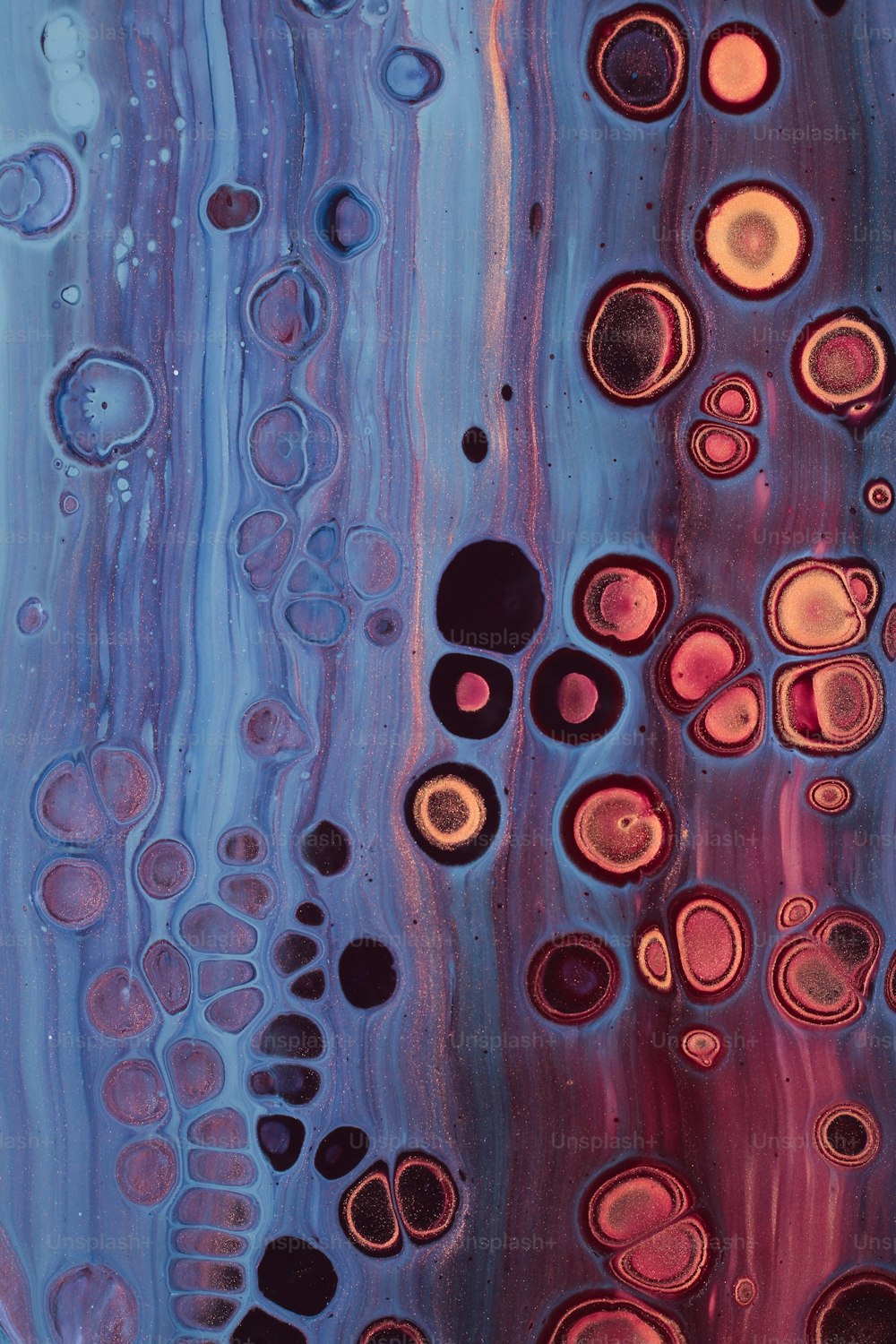 a close up of a painting with many circles on it