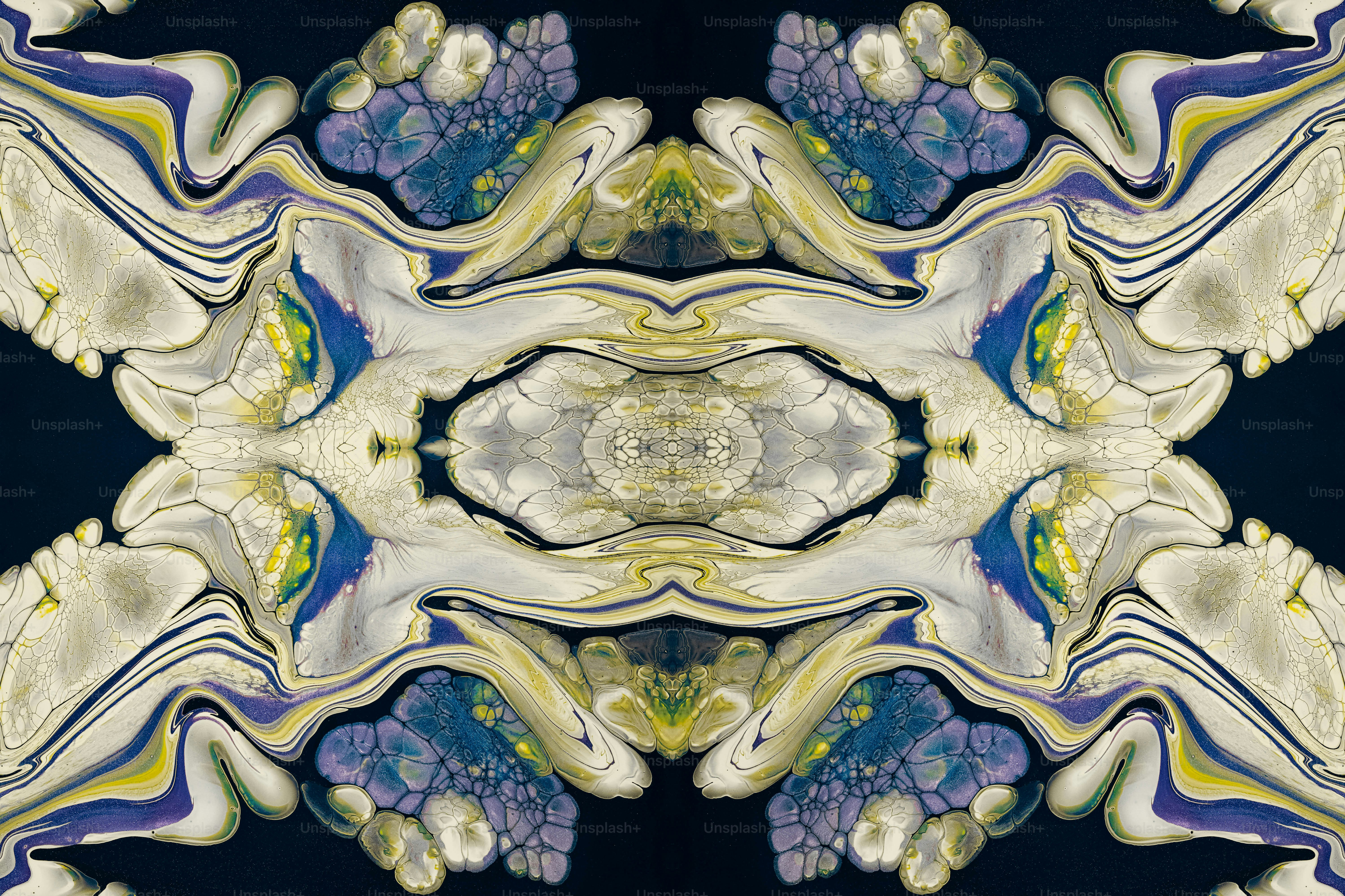 a picture of a flower that is in the middle of a picture