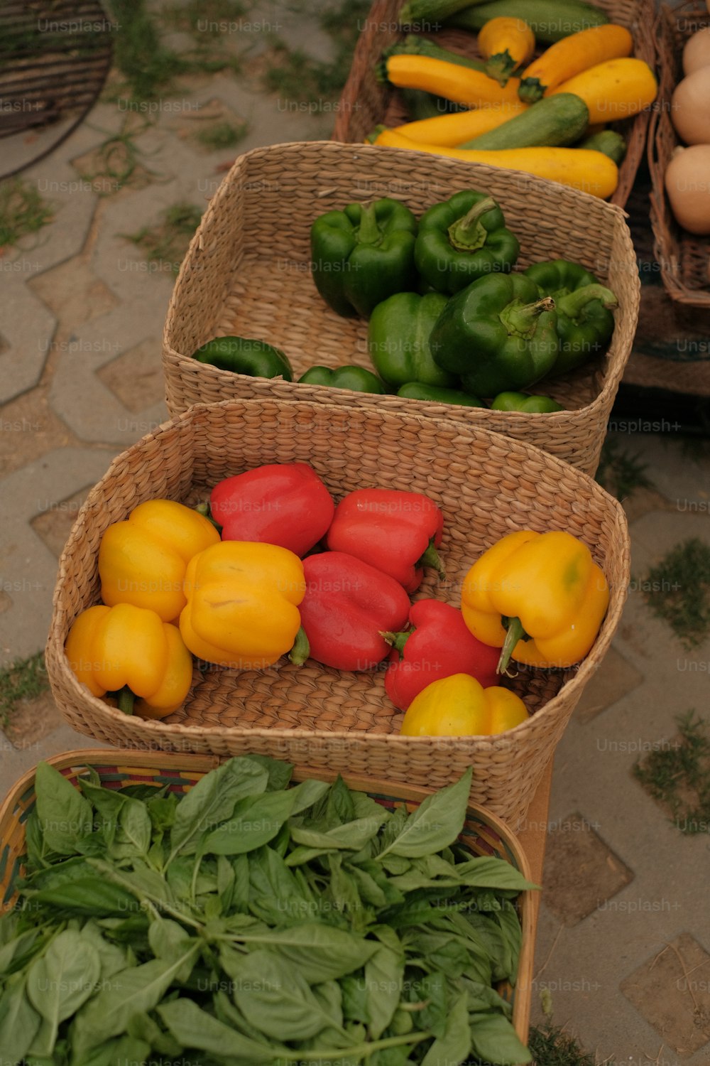 una fila di cesti pieni di diversi tipi di verdure