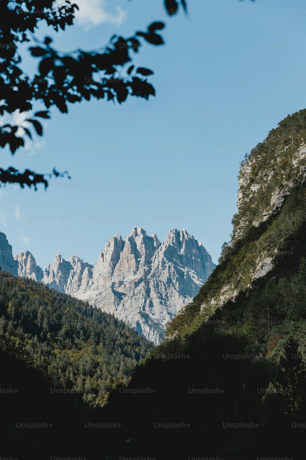 Blick auf eine Bergkette mit Bäumen im Vordergrund