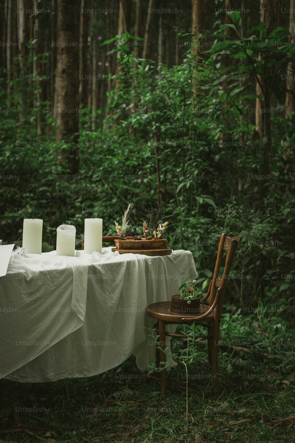 a table with candles on it in the middle of a forest