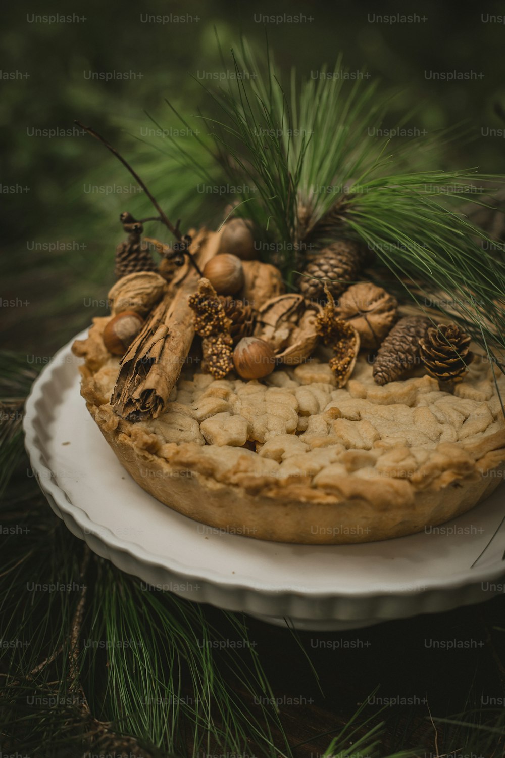a cake with nuts and pine cones on a plate