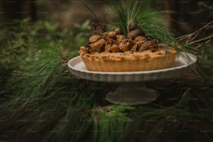 a cake with pine cones on top of it