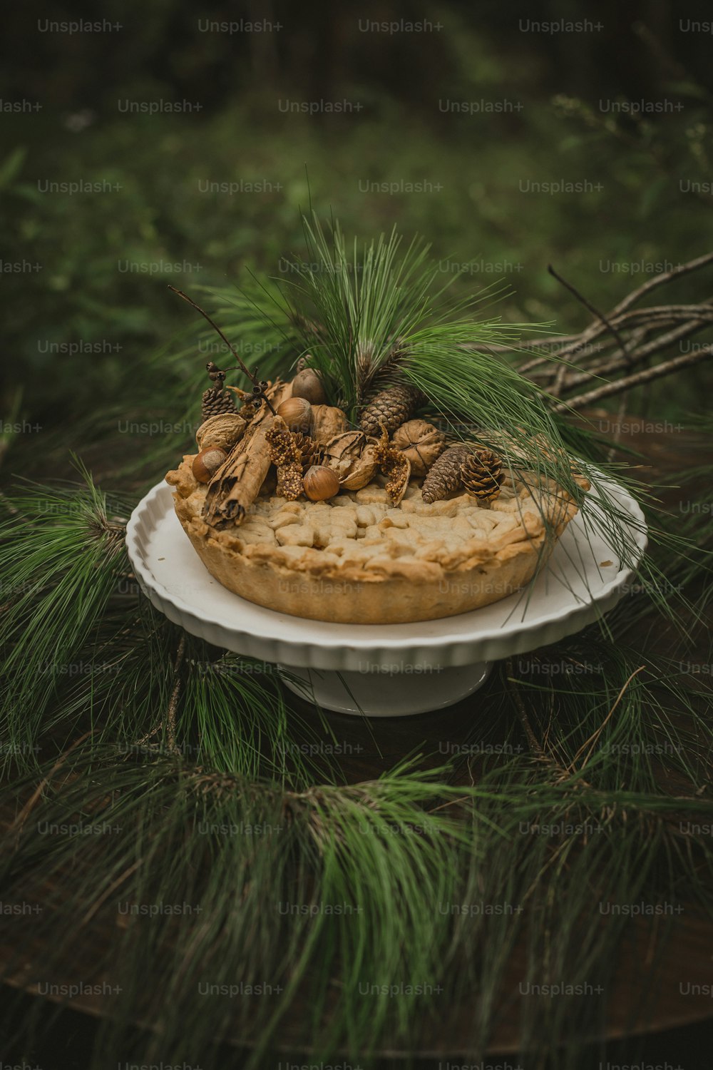 a pie with pine cones and pine cones on top of it