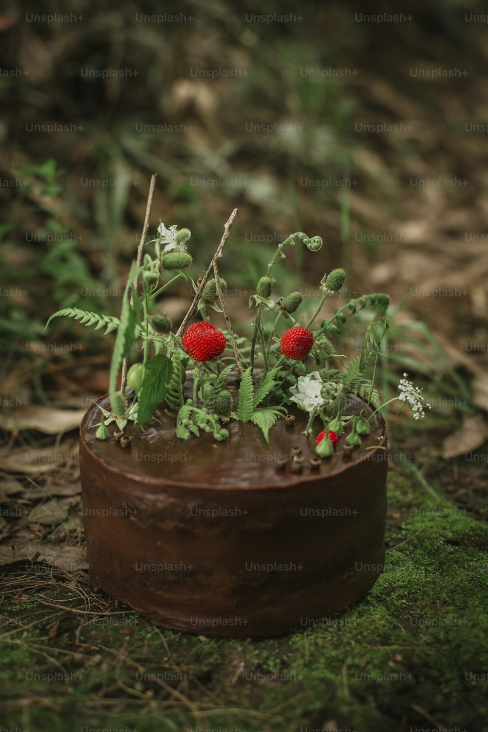a potted plant sitting on top of a lush green field