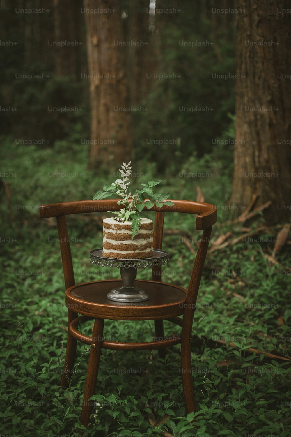 a cake sitting on top of a wooden chair in a forest