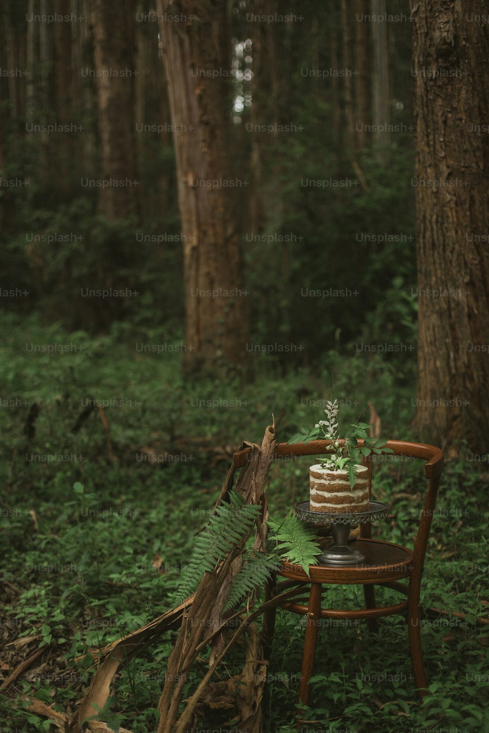 a chair with a cake on it in the woods