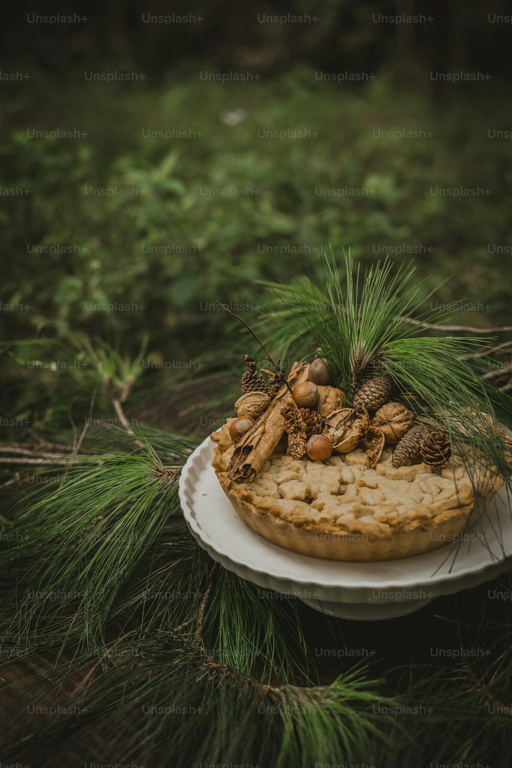 a pie with pine cones and nuts on a plate