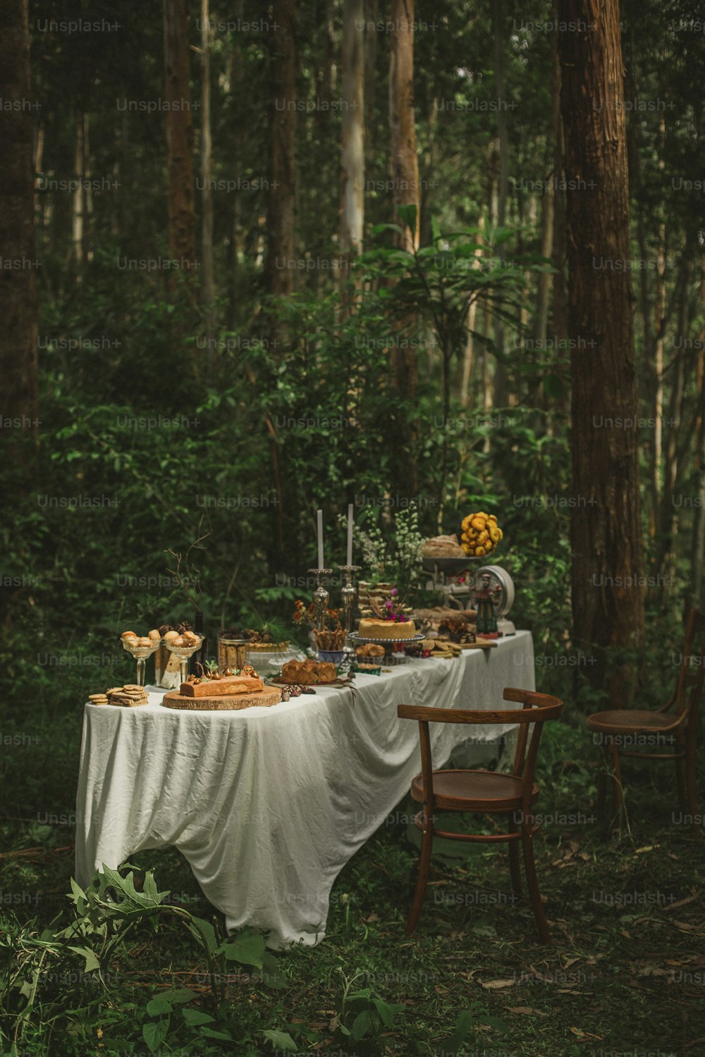 a table covered with food in the middle of a forest