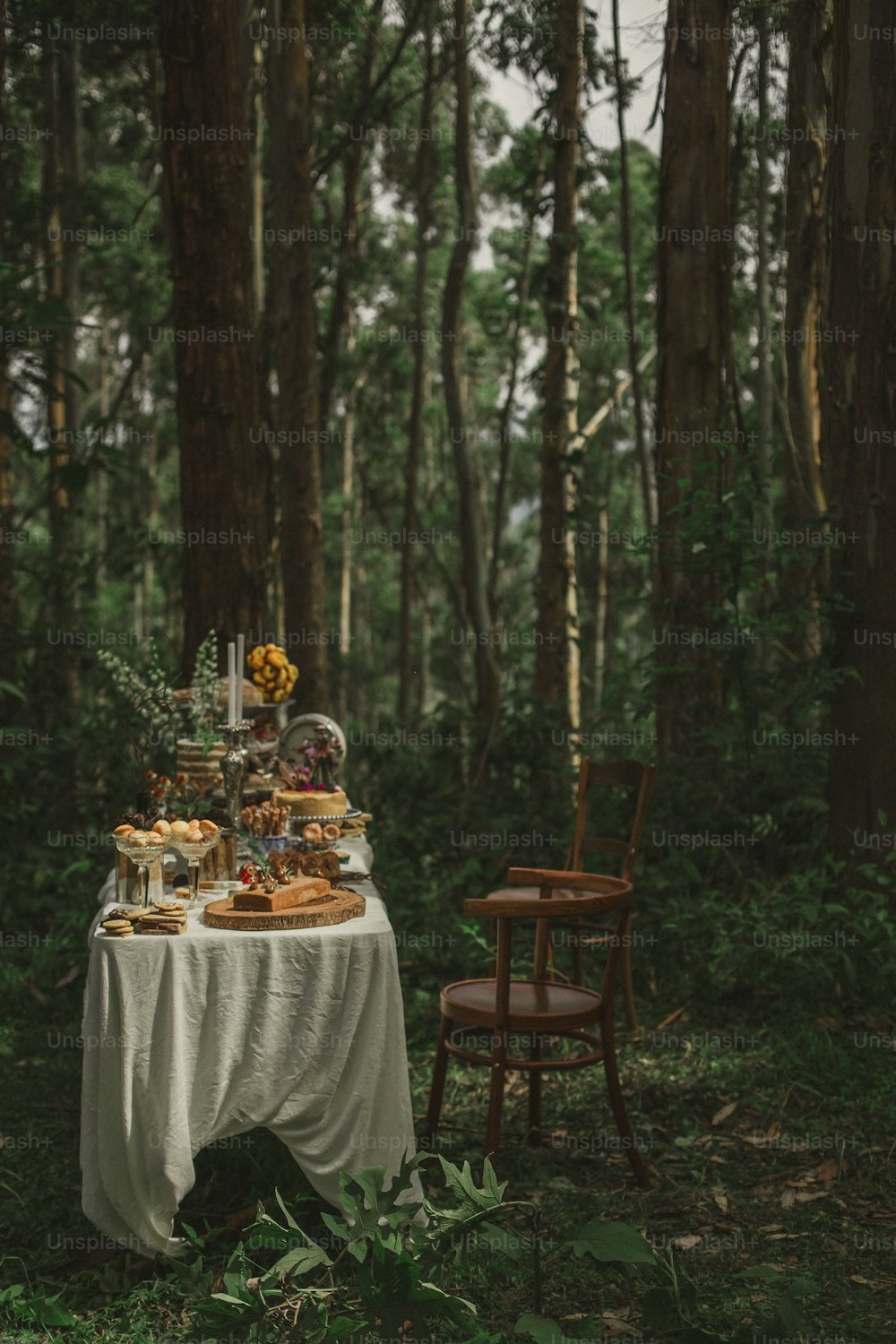 a table with food on it in the middle of a forest