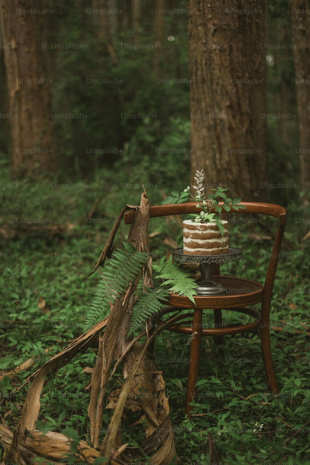 a cake sitting on a chair in the woods