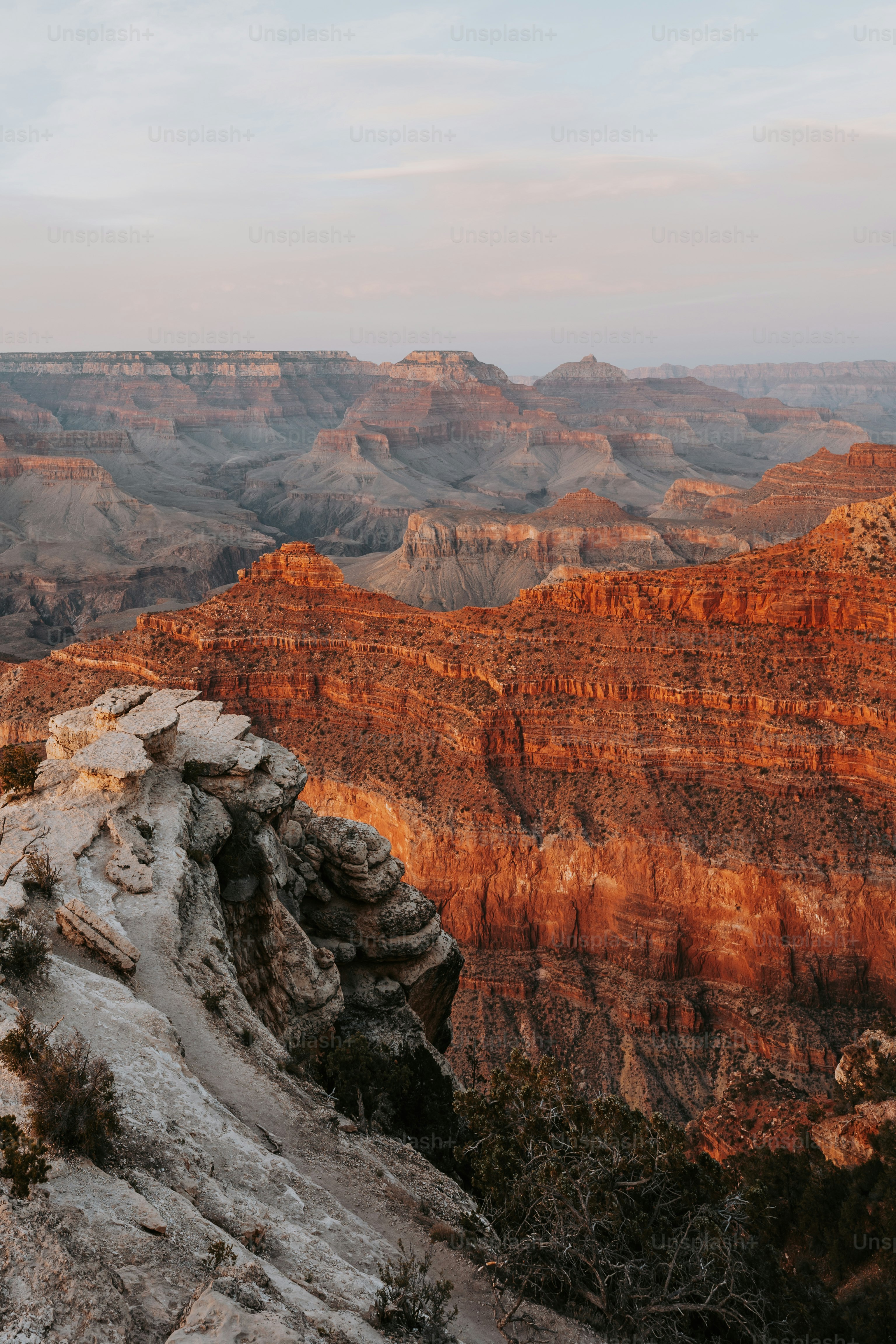 Ein Blick auf den Grand Canyon von der Spitze eines Berges
