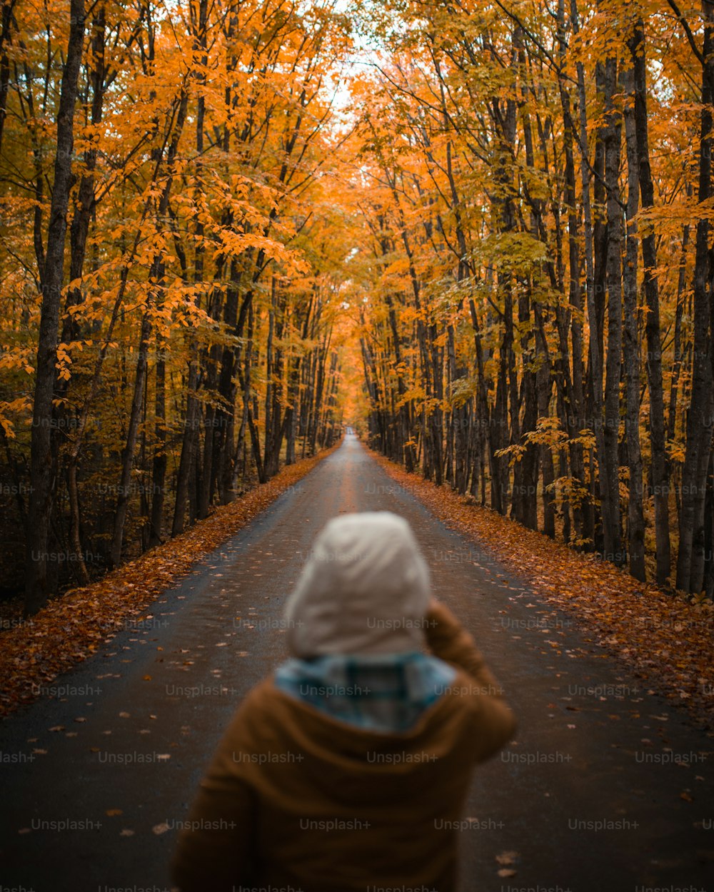 uma pessoa em pé em uma estrada cercada por árvores