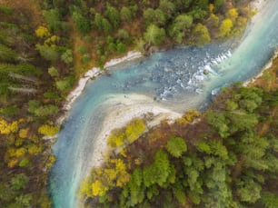 a river running through a lush green forest