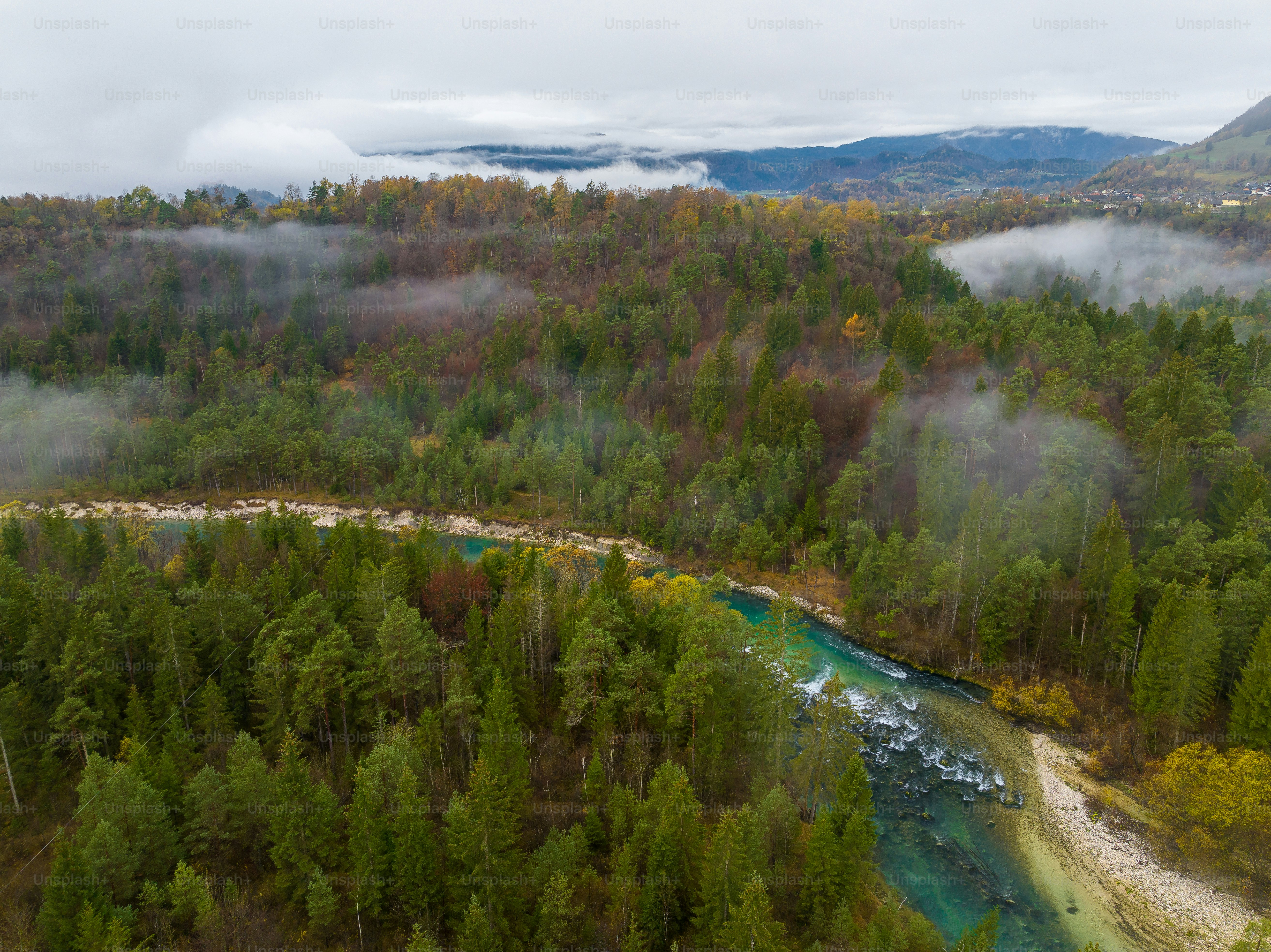 Un fiume che attraversa una lussureggiante foresta verde