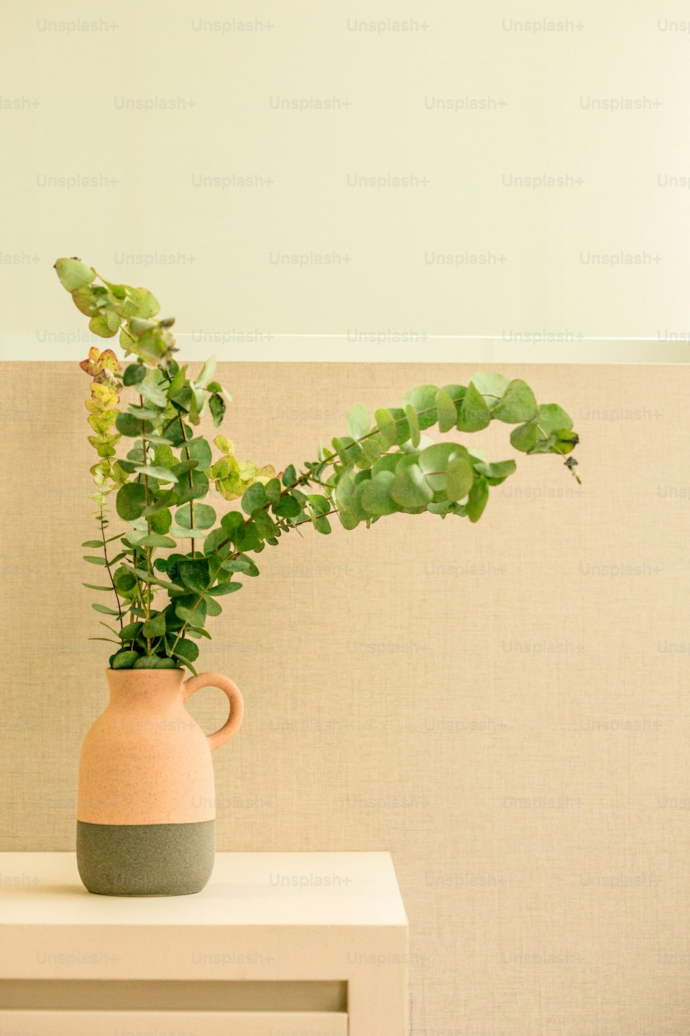 eine Pflanze in einer Vase, die auf einem Tisch sitzt