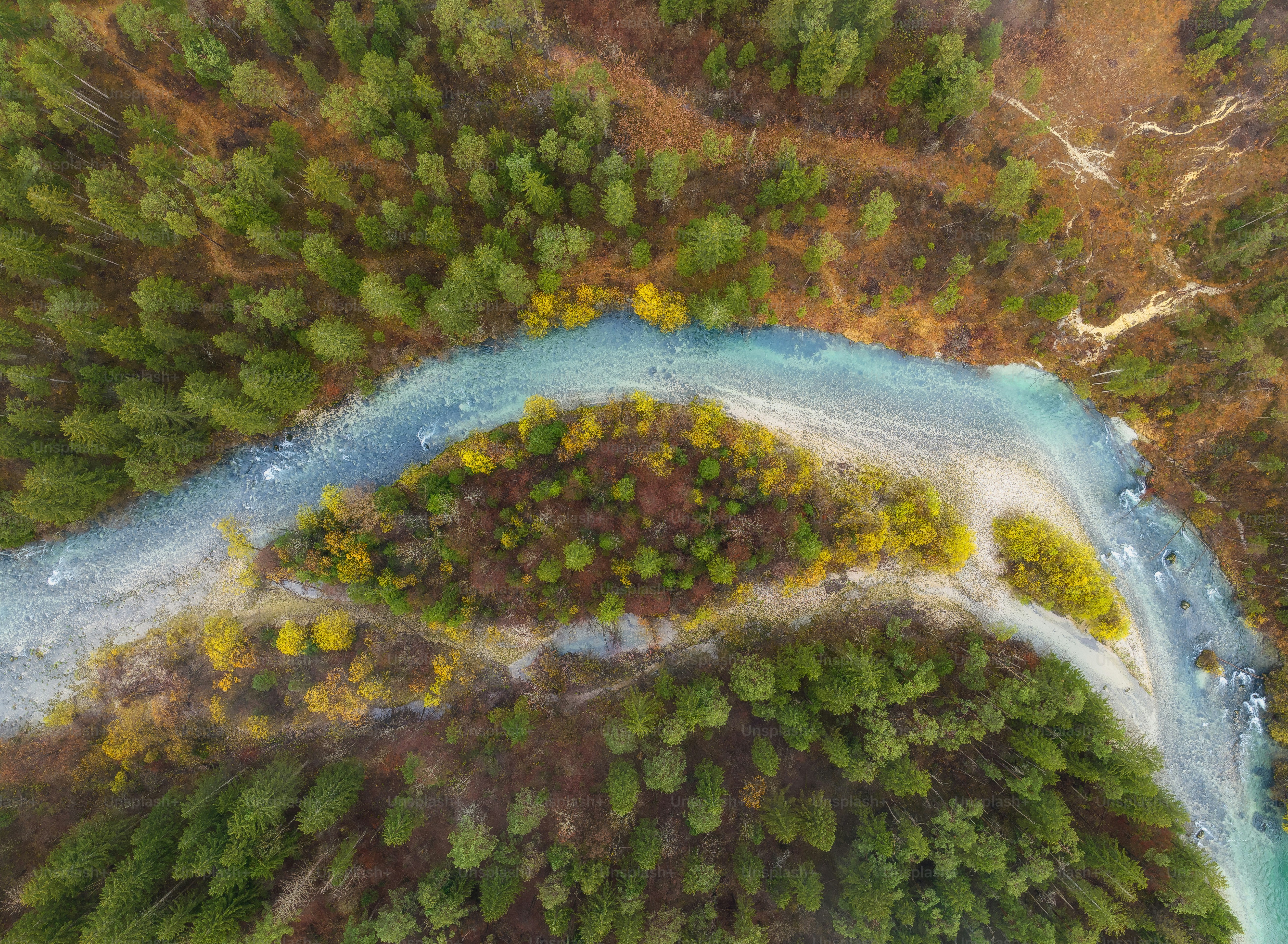 Una vista aérea de un río que atraviesa un bosque