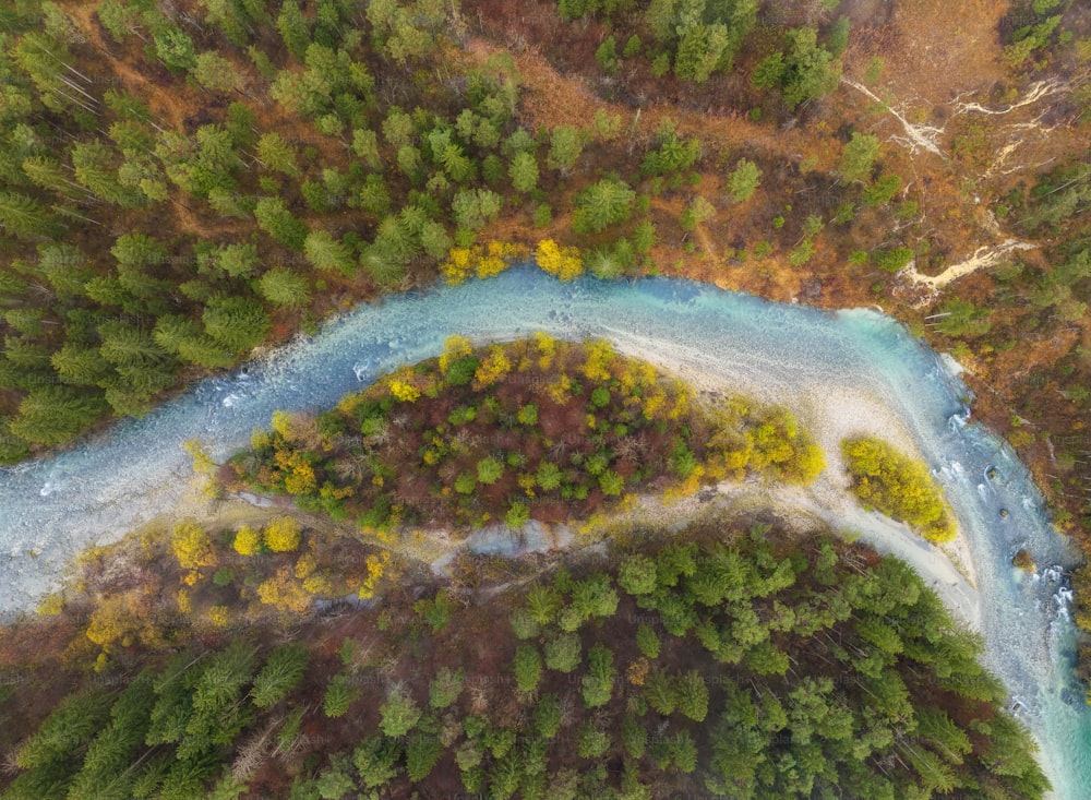 Eine Luftaufnahme eines Flusses, der durch einen Wald fließt