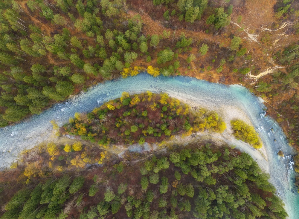 an aerial view of a river running through a forest