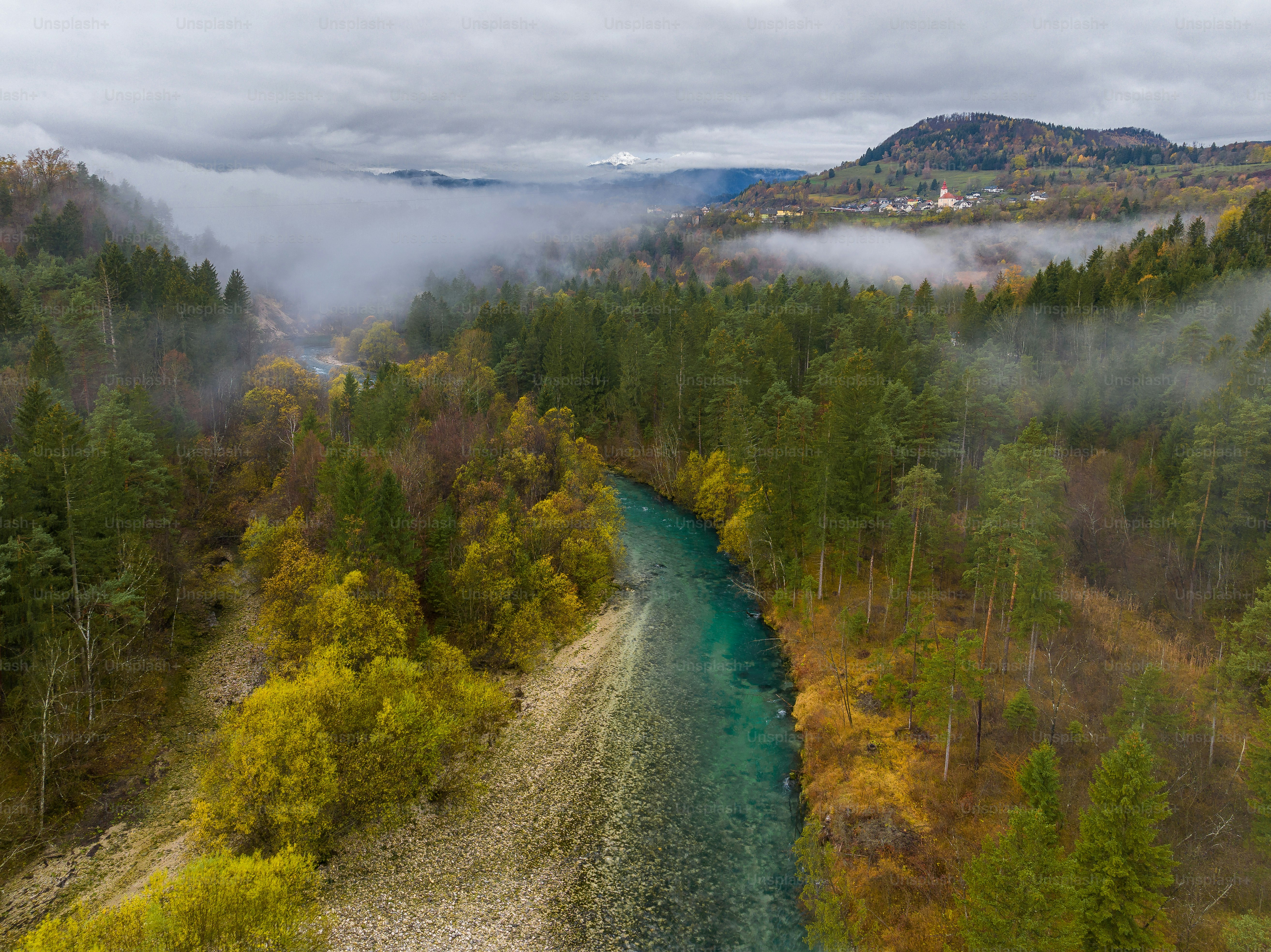 a river running through a lush green forest