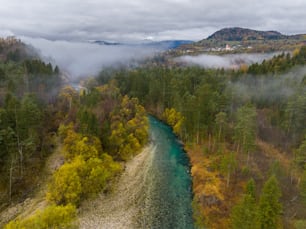 a river running through a lush green forest