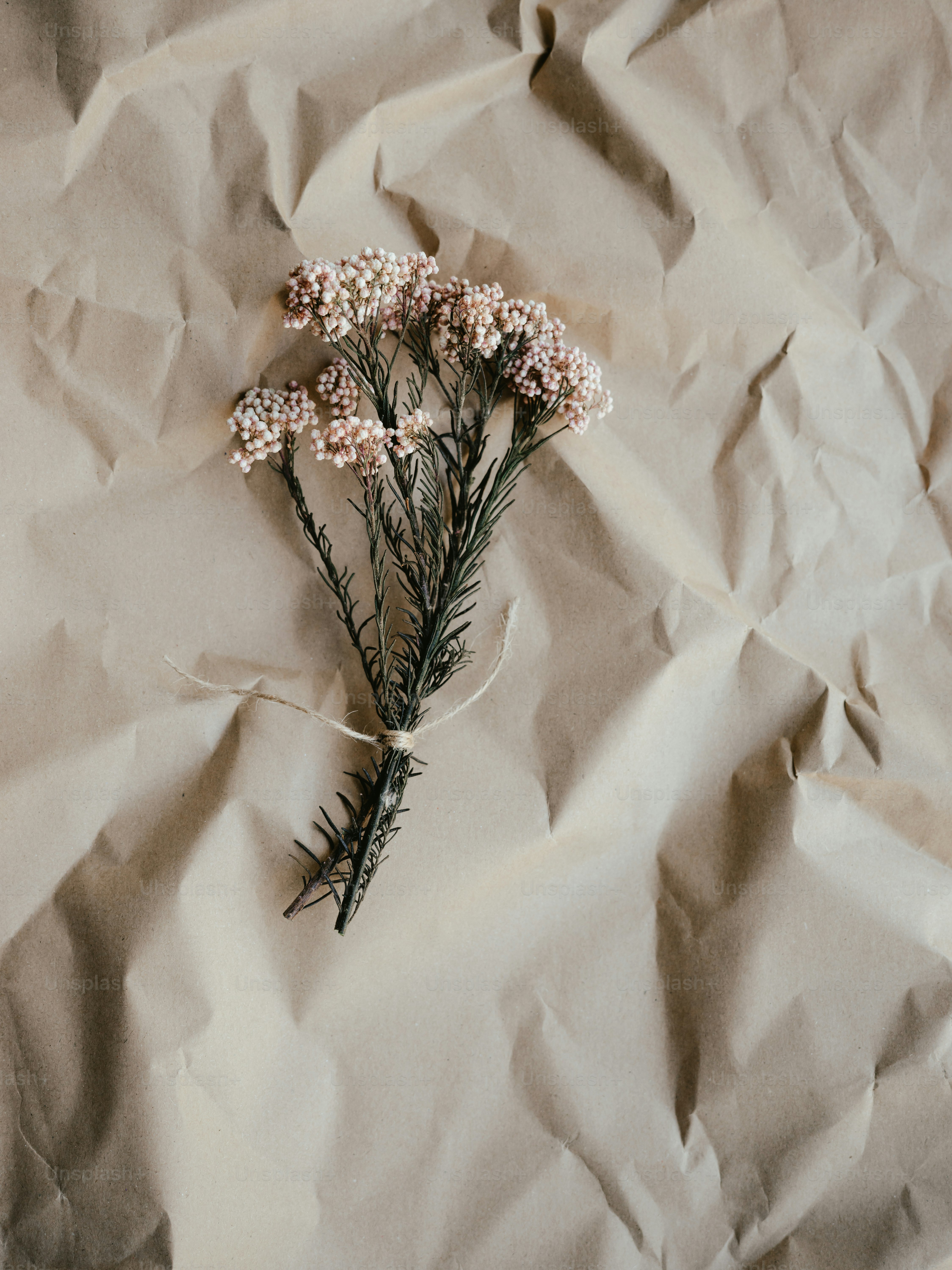 a bunch of flowers laying on top of a piece of paper