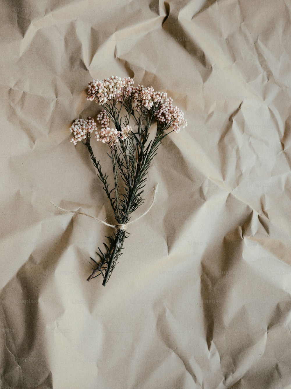 un bouquet de fleurs posé sur un morceau de papier