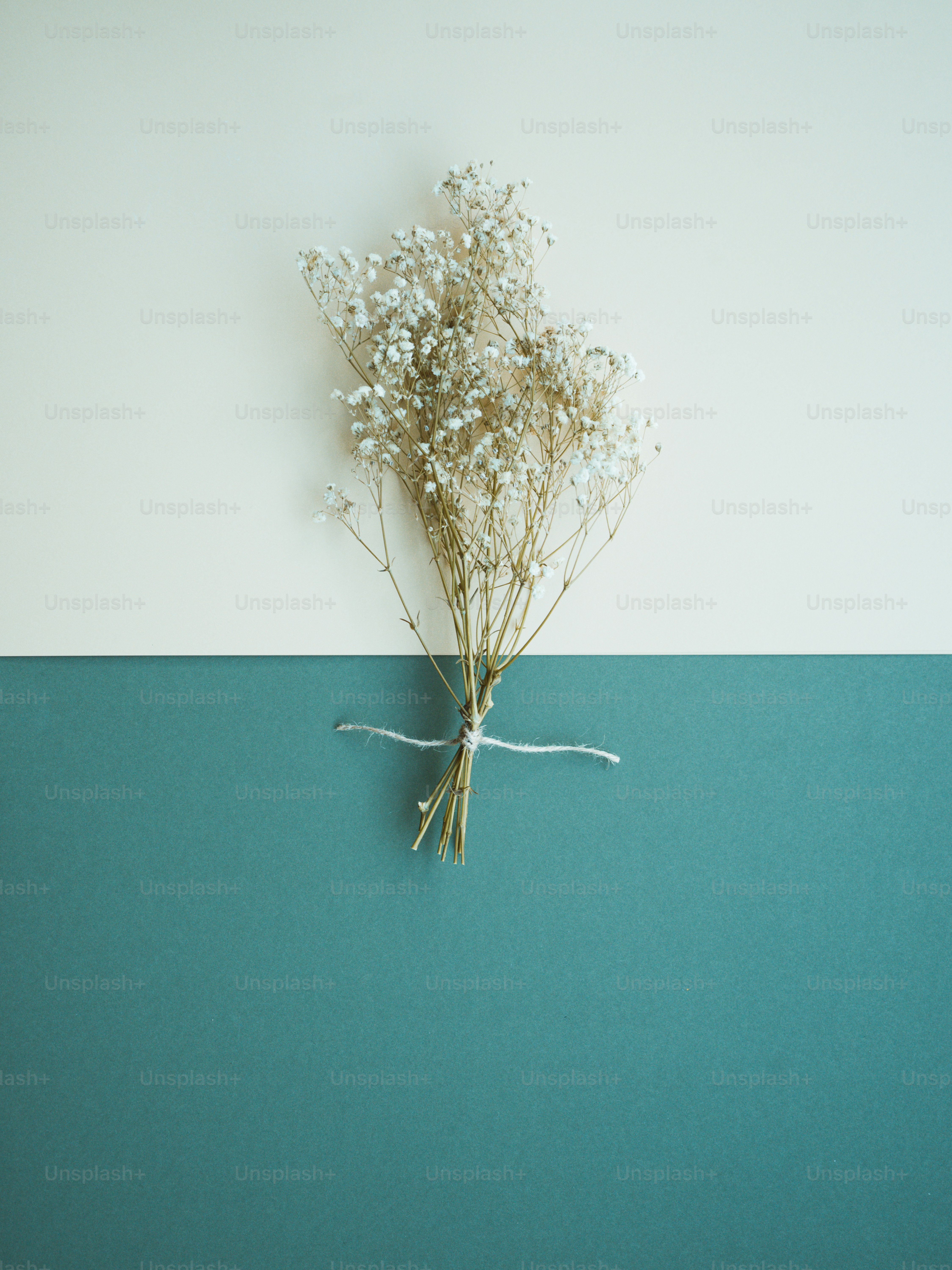 Ein Haufen Babyatem sitzt auf einem Tisch